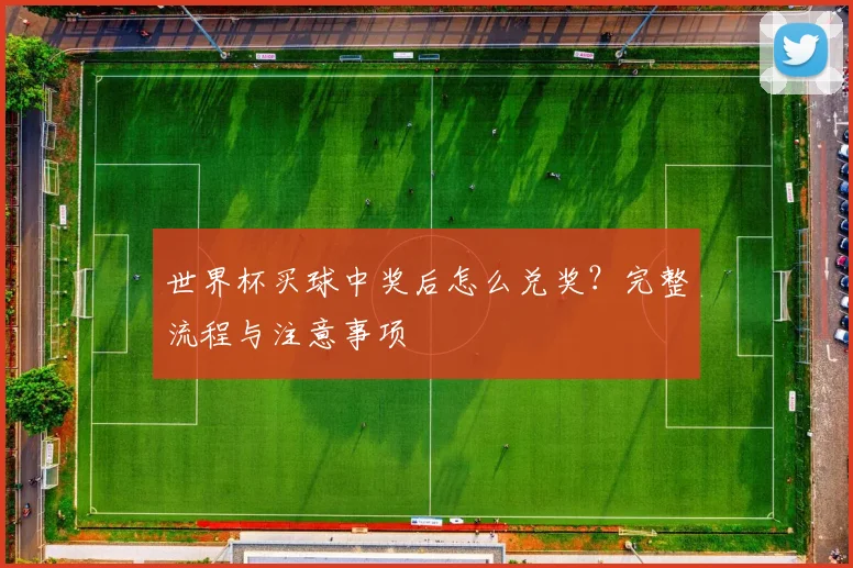 世界杯买球中奖后怎么兑奖？完整流程与注意事项