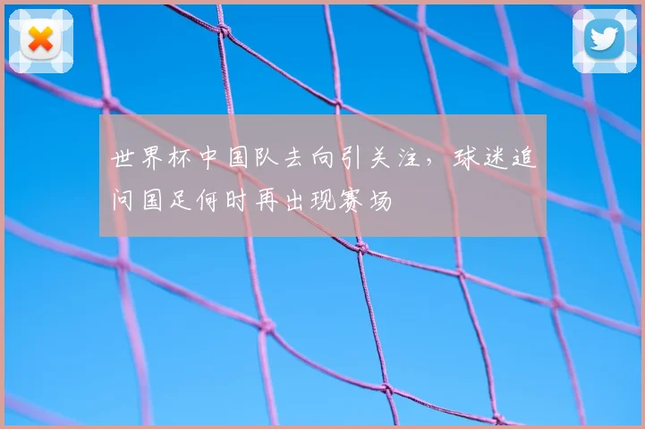 世界杯中国队去向引关注,球迷追问国足何时再出现赛场